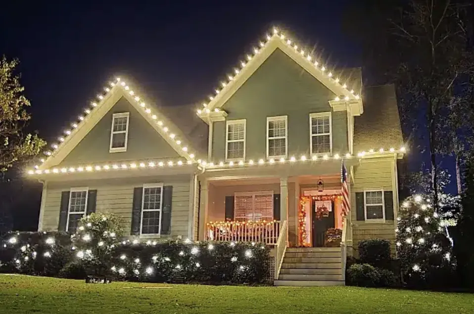 Green-sided house with a white roofline and lit shrubs along the front beds.